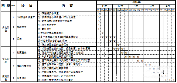 CIP项目推行计划表