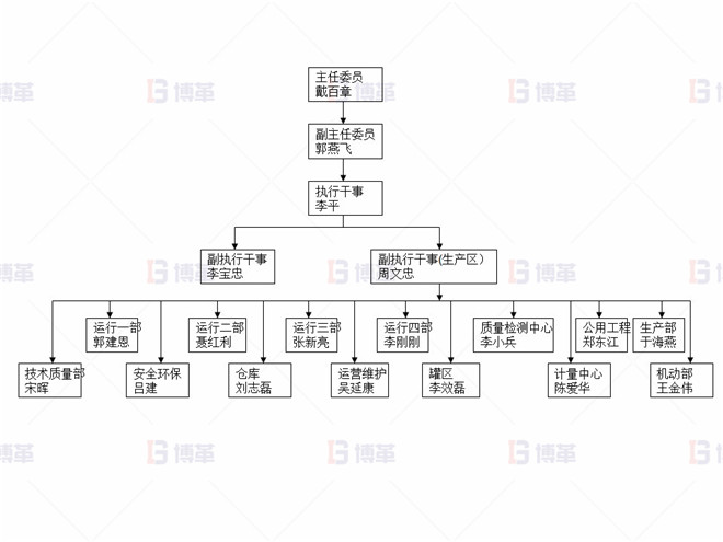 某化工厂生产区5S改善案例 5S项目组织架构